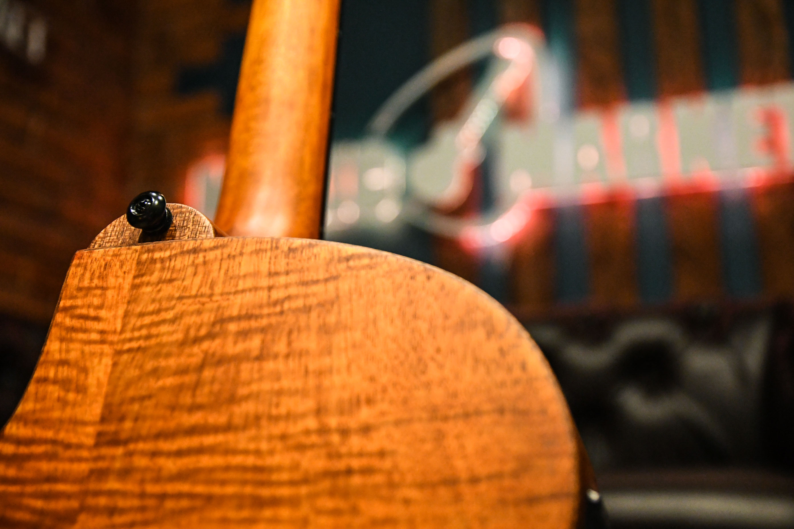 Электроакустика ARIA FET-F2 STBR