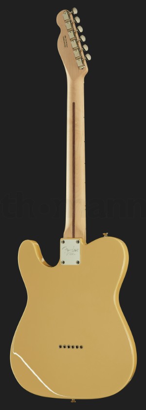 Электрогитара Fender AM Perf Tele HUM MN VWT