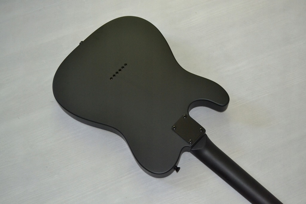 Электрогитара Harley Benton TE-20HH SBK