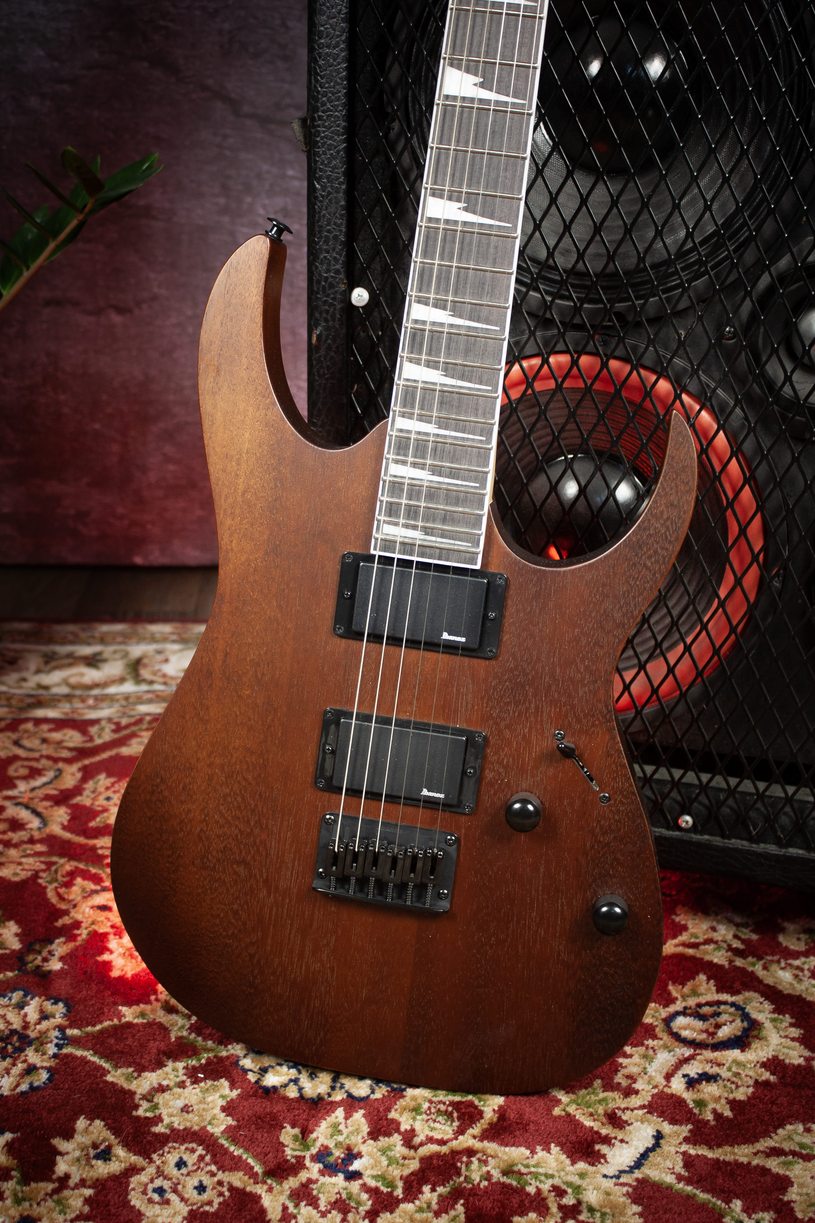 Электрогитара Ibanez GRG121DX-WNF Bundle