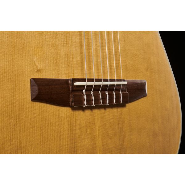 Классическая гитара Ibanez FRH10N-NTF