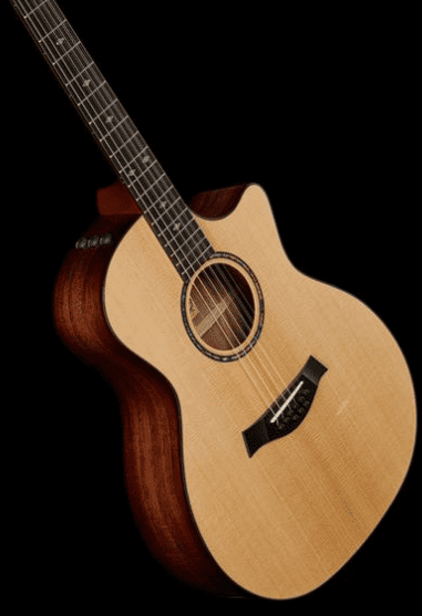 Электроакустическая гитара Taylor Custom GA-9