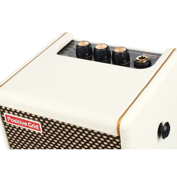 Комбоусилитель гитарный Positive Grid Spark Mini PW