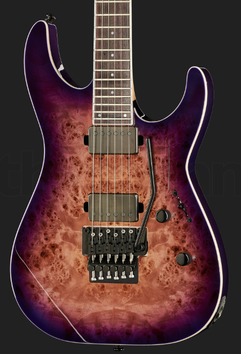 Электрогитара ESP LTD M-1000BP Purple NT Burst