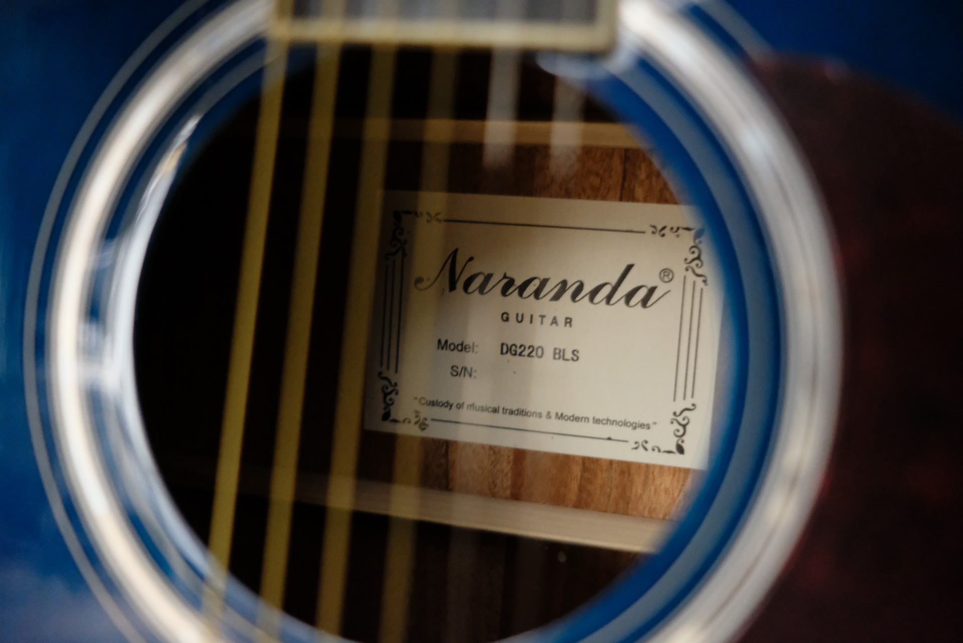 Акустическая гитара Naranda DG220BLS