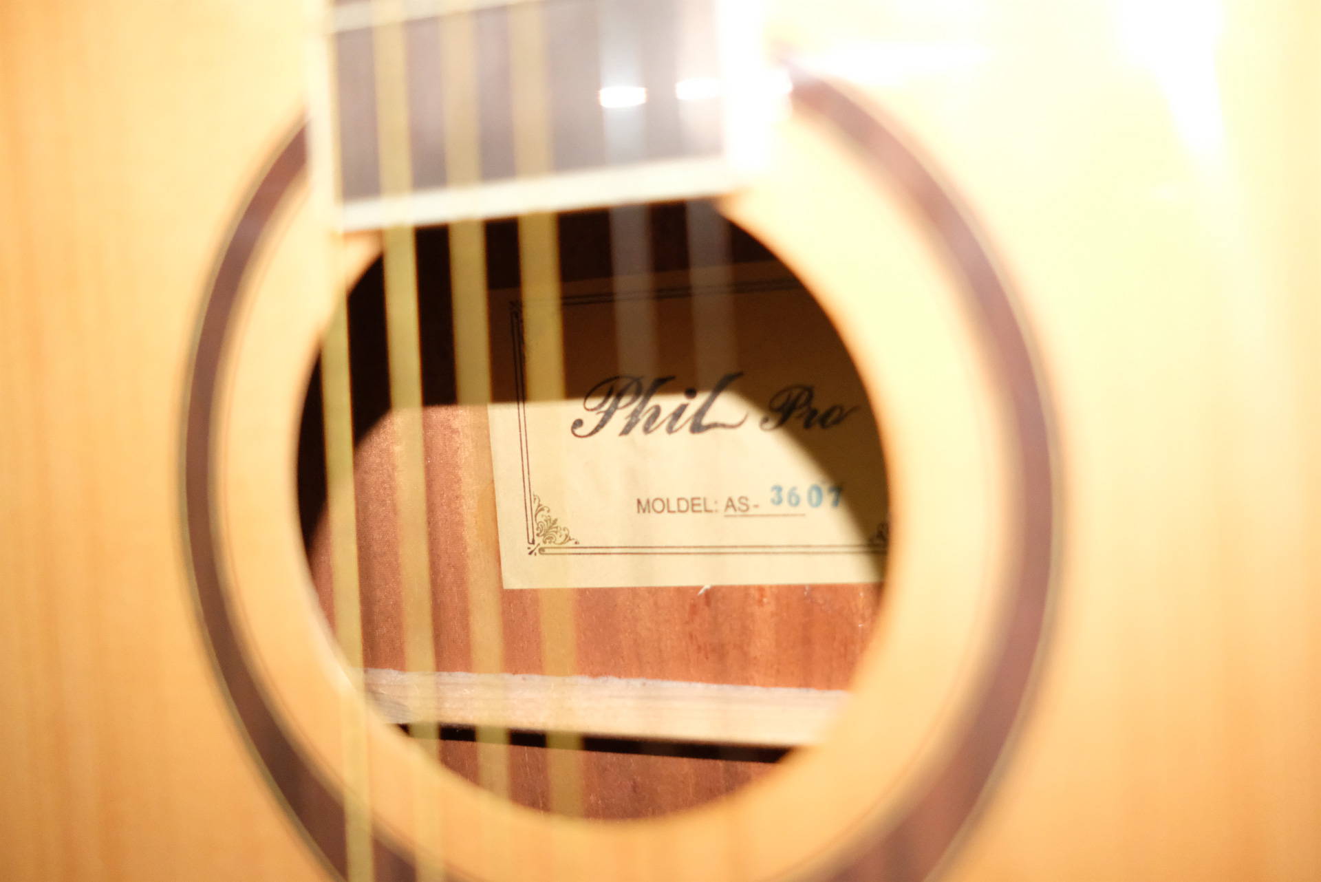 Акустическая гитара Phil Pro AS - 3607 / N
