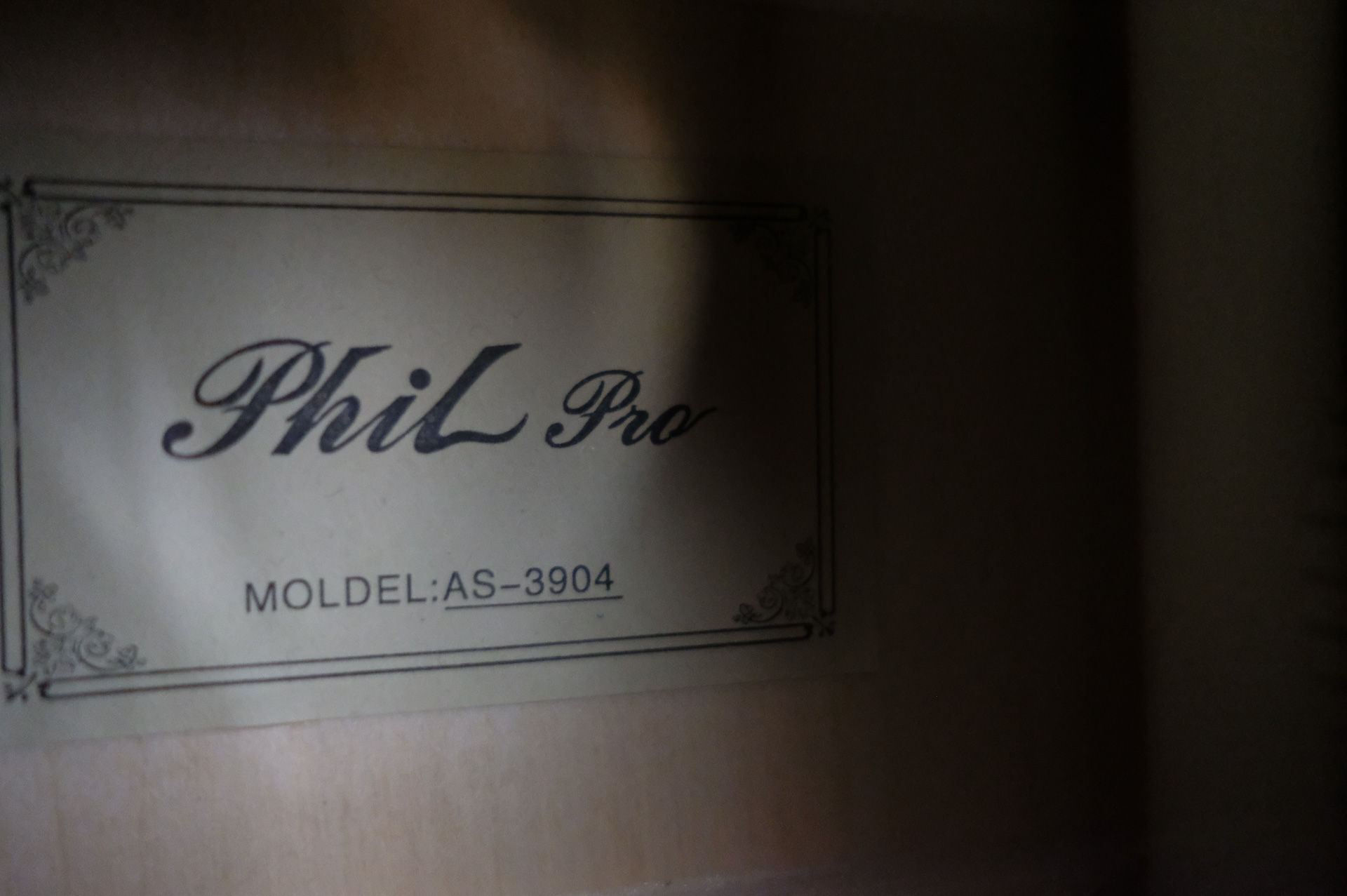 Акустическая гитара Phil Pro AS - 3904 / BK