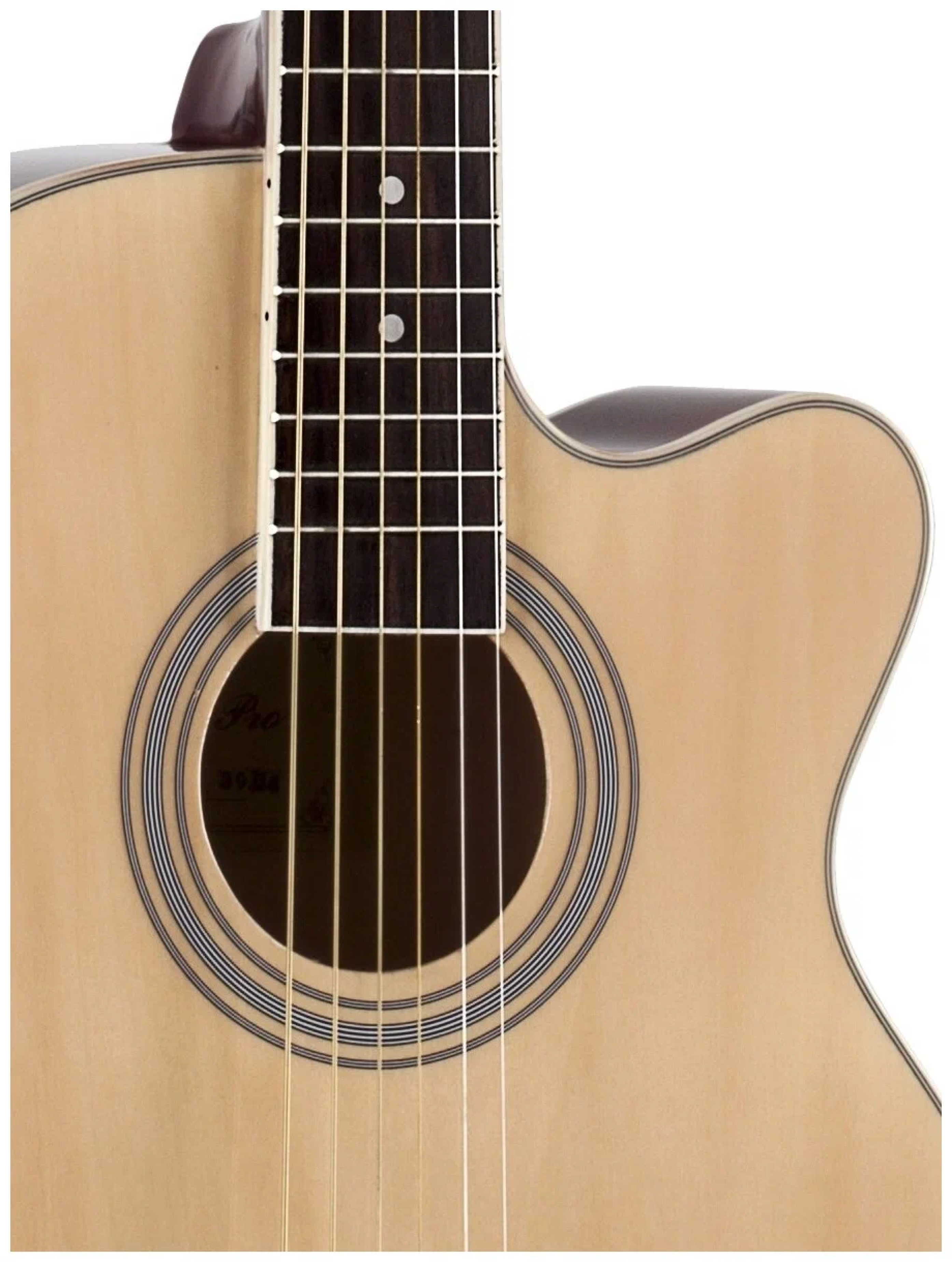 Акустическая гитара Phil Pro AS - 3904 / N