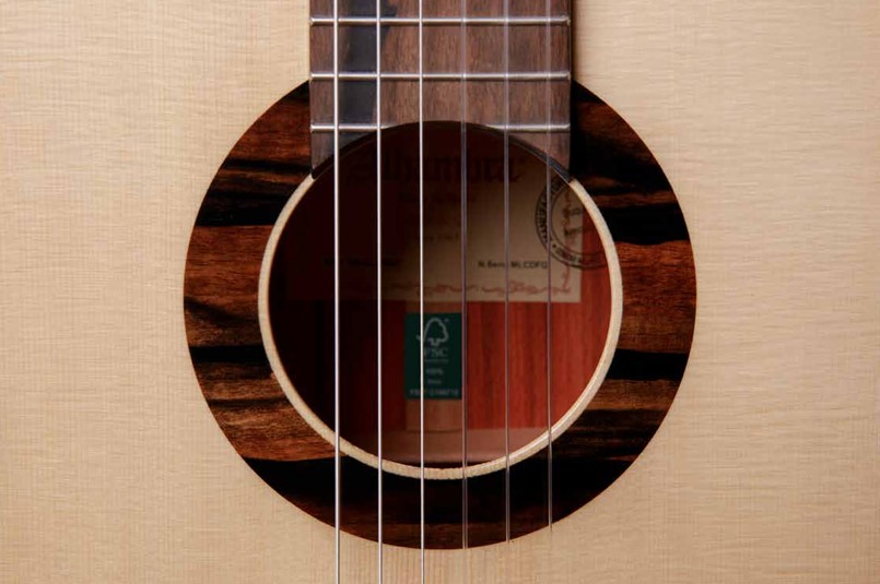 8.895 Green Sustain Clasical Классическая гитара, Alhambra