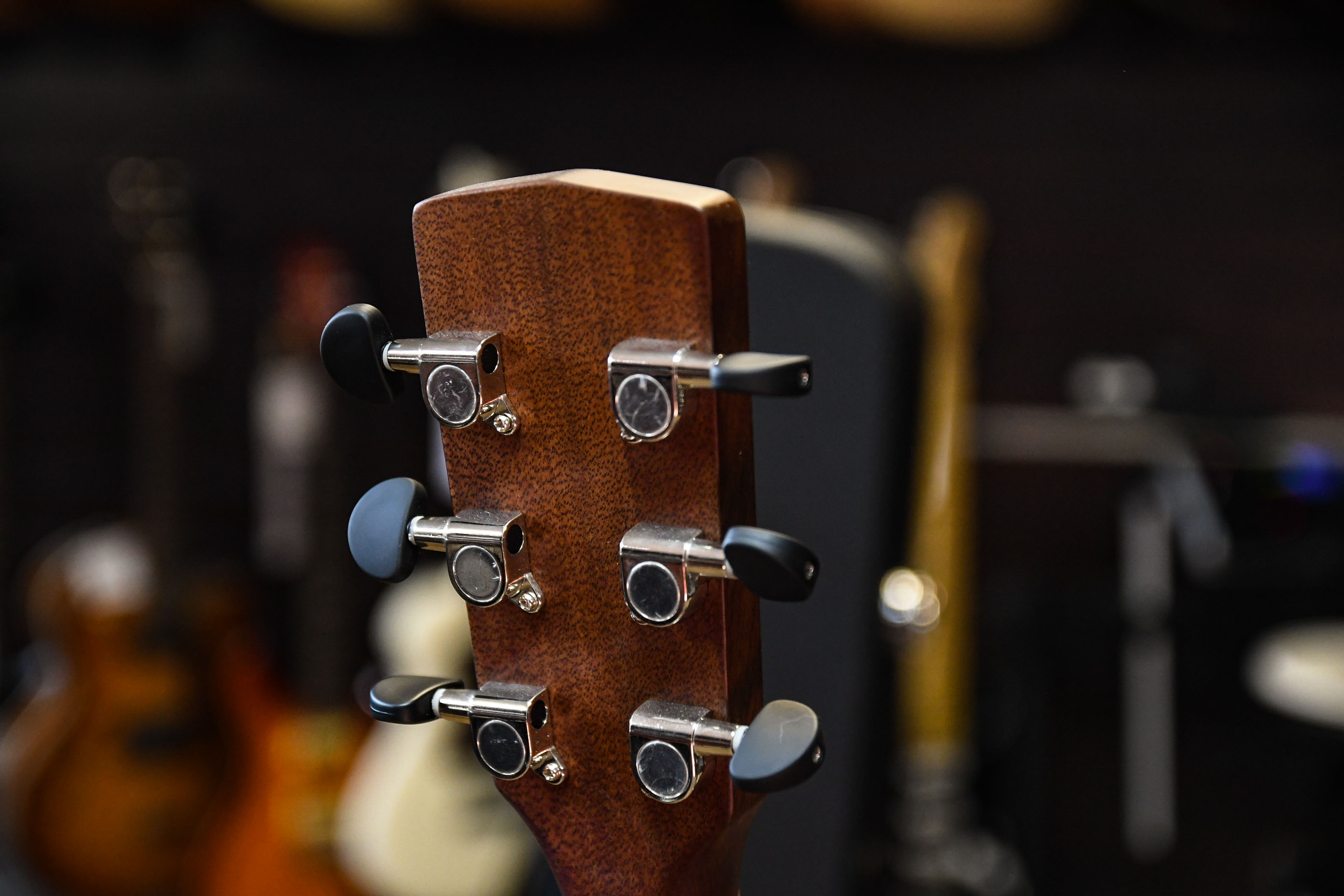 Акустическая гитара Cort Luce Series L450C-NS