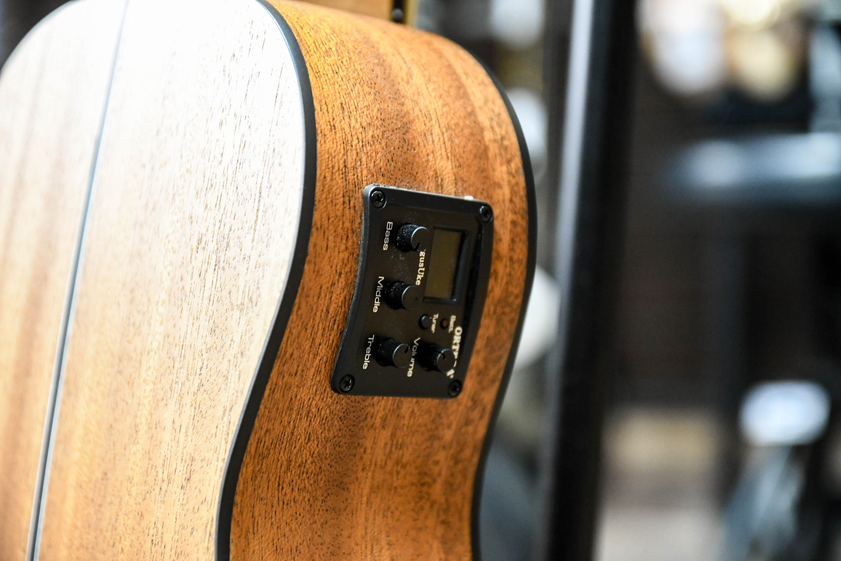 Укулеле бас со звукоснимателем, безладовое Ortega Lizard Series LIZZY-BSFL-GB