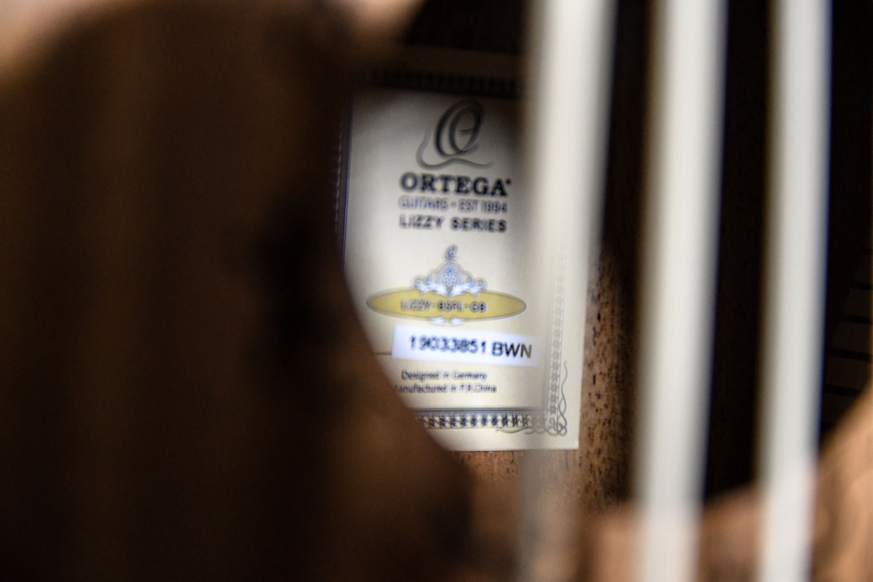 Укулеле бас со звукоснимателем, безладовое Ortega Lizard Series LIZZY-BSFL-GB