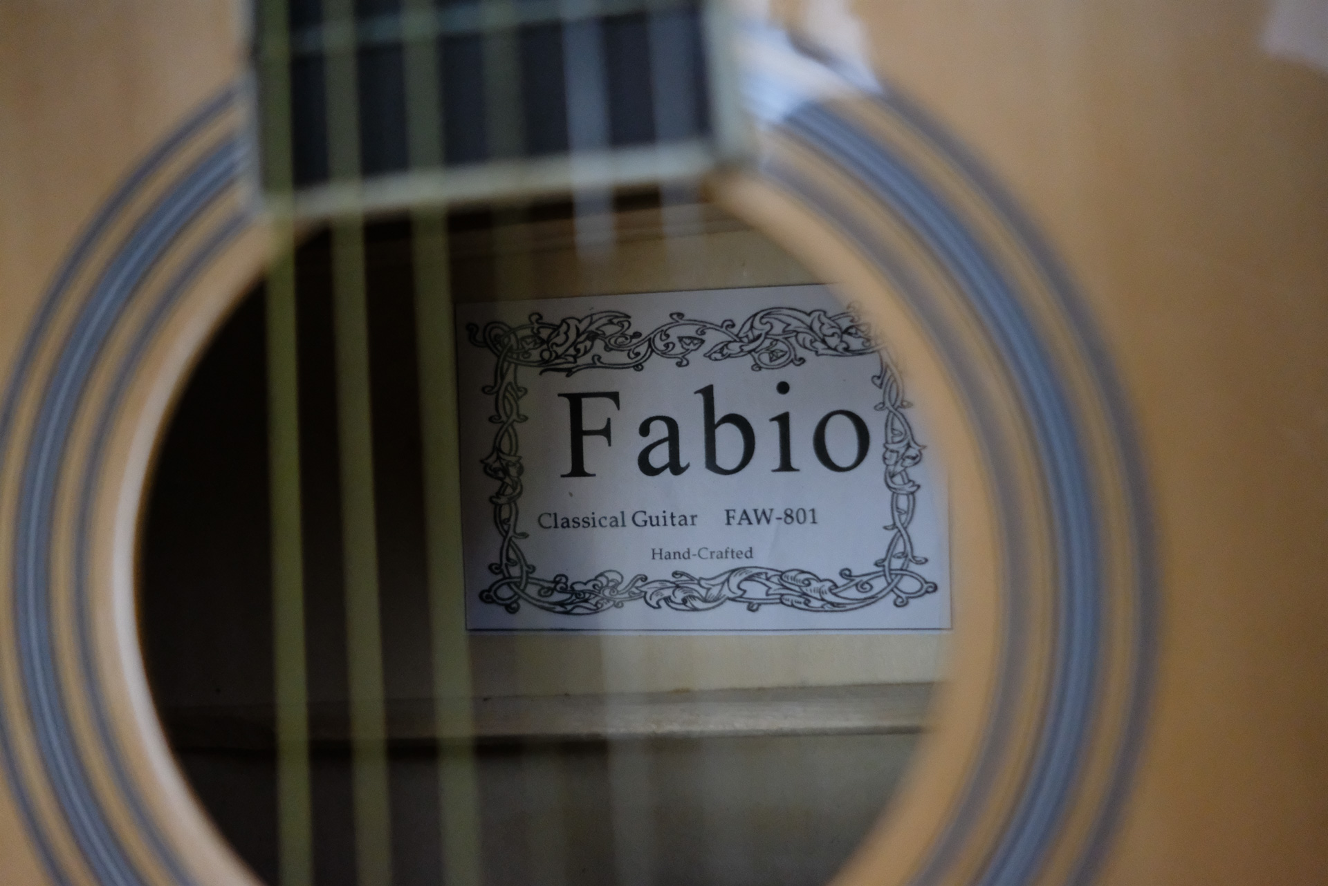 Акустическая гитара Fabio FAW-801