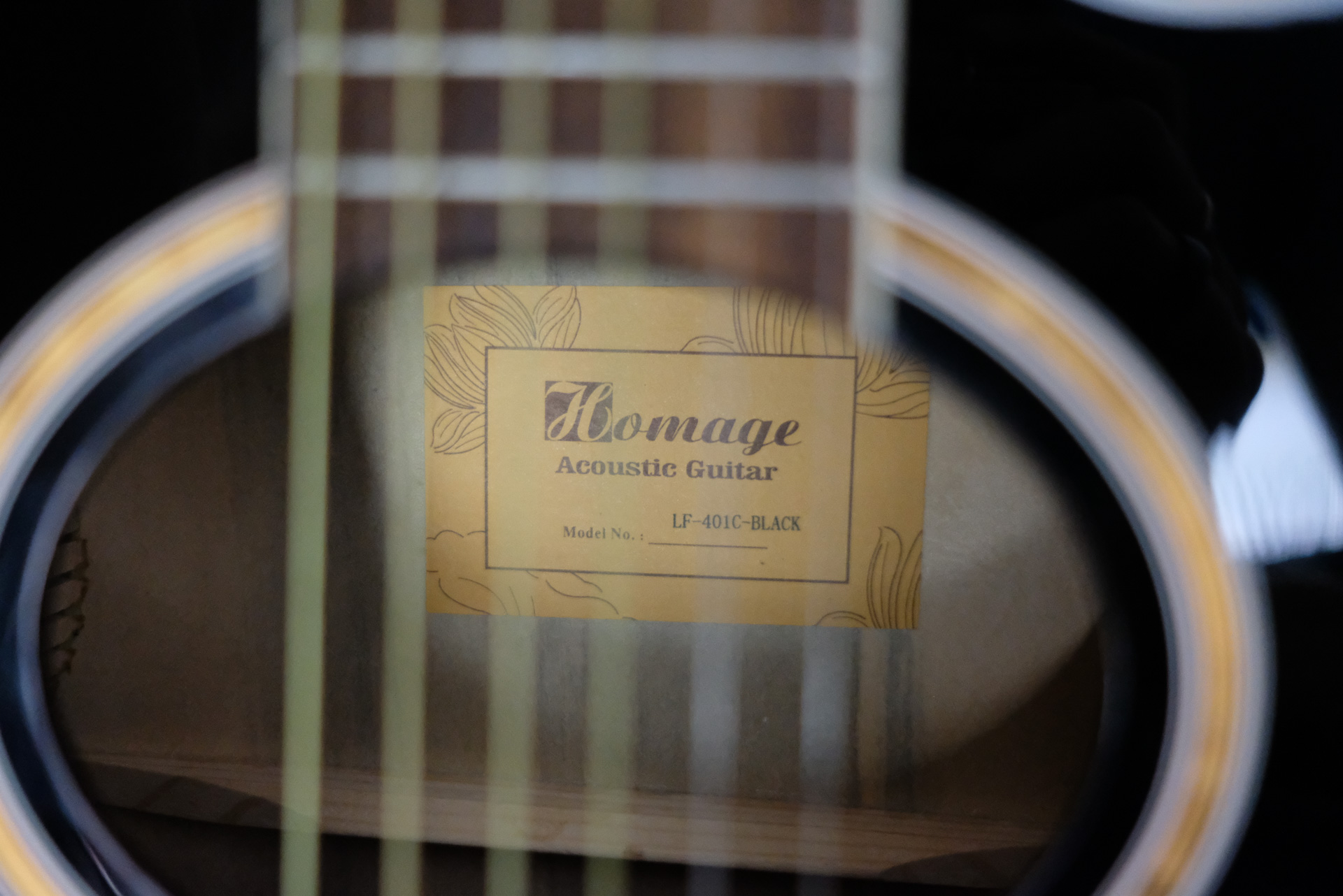 Акустическая гитара Homage LF-401C-B