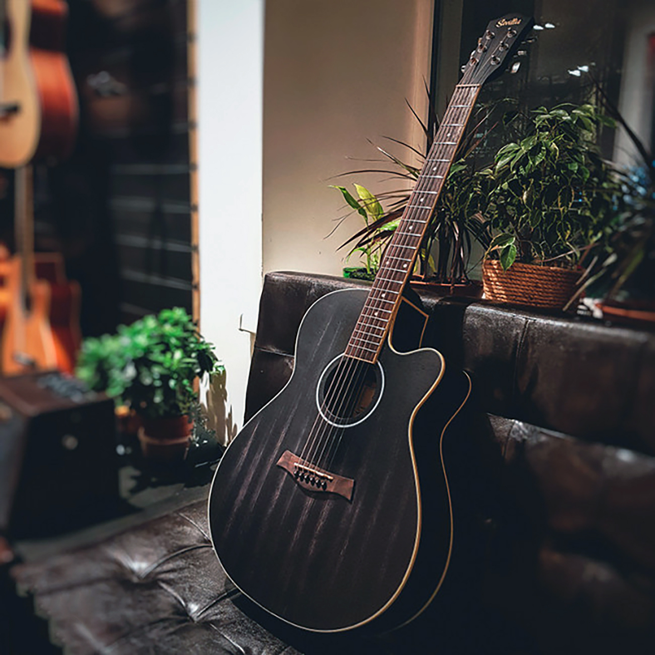 Гитара акустическая Sevillia IWC-235 MTP